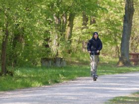 Top Picks for Best Budget Electric Scooters for Adults: Affordable
